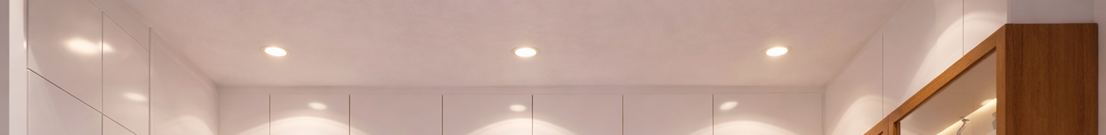 Focos Downlights y Apliques 1